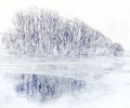  Bodky II (Winter) - 2008, pen, pencil on tracing paper, 100x120cms